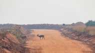 Curse or blessing? In Uganda, oil project gets mixed reviews