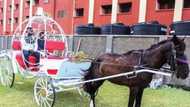 Inventor introduces an ultra-modern wedding carriage with WIFI