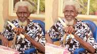 Man celebrates grandpa's 113th birthday: "He might get to 130"