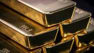 Gold hits new record high on Fed rate cut bets