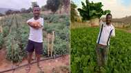 Mzansi peeps praise young Mpumalanga farmer born without hands, “God bless your hustle bro”