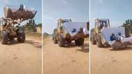 Newlywed couple make grand entrance in excavator in video, SA left in stitches: “It's really unique"