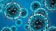 Omicron: Everything we know about new Covid 19 variant causing fresh panic