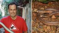 2-Headed snake has Nick Evans and the people of Mzansi surprised, a rare and eye-opening find for sure