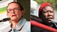 Helen Zille calls out EFF's Julius Malema for hosting super spreader event