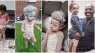 Father of 3 turns to receive a call, returns to discover his girls trashed the room with flour
