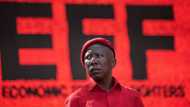 EFF's Julius Malema's day in the docks short-lived, firearm case postponed to 2023