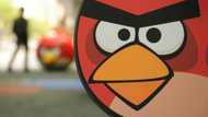 Sega to buy Angry Birds maker Rovio