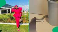 "Chomie, move out": Woman finds snake moving behind the bin in her kitchen, SA rattled