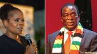 Phophi Ramathuba wants to bill Zimbabwean President Emmerson Mnangagwa for illegal patients in SA hospitals