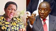 Bathabile Dlamini calls for President Cyril Ramaphosa’s removal, says he is in the thick of corruption