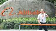 Alibaba quarterly revenue flat for first time ever in June