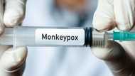 Health official faces backlash over monkeypox remarks after saying virus spreads in men who sleep with men