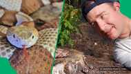 "Tried to give me kisses": Close up of "flirty" snake in captivity at SA sanctuary goes viral
