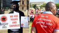 SA's unemployment crisis in the spotlight after over 700k graduates applied for R350 grant