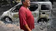 Deadly wildfires contained in Algeria