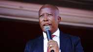 Voetsek: Malema on calls for Twitter to give him Trump treatment