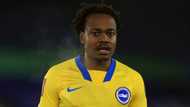 Update: Brighton & Hove Albion coach explains why Percy Tau didn't play