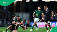 World Cup-winning coach Steve Hansen says most teams make the same mistake against the Springboks