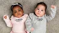 Ecastatic mum gives birth to exceptional twins with different skin colour