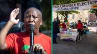 Julius Malema says EFF will help bus Zimbabweans home so they can participate in Zim elections