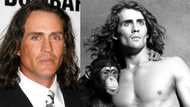 Joe Lara: 'Tarzan' actor dead at 58 after tragic plane crash in US