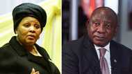 President Cyril Ramaphosa set to head back to parliament over unanswered Phala Phala questions