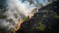 Brazilian Amazon records worst August for fires in 12 years
