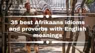 35 best Afrikaans idioms and proverbs with English meanings