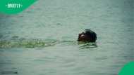 Undocumented immigrant swims to Spain while recording in TikTok video