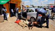 Over 50 foreign business owners targeted: Police arrest 4 in Western Cape extortion probe