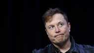 Musk says video and audio calls coming to Twitter