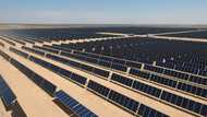 Business news: Saudi power company to build R11.6 billion solar tower in South Africa