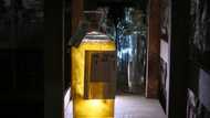 Inflation a thorn in the side of Bulgaria rose oil makers