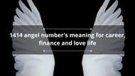 1414 angel number's meaning for career, finance and love life
