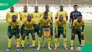 Springboks, Proteas, and Bafana Bafana: Who’s earning the big bucks?