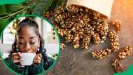 A guide to the most expensive coffee beans, their origins and flavors