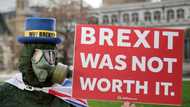 UK turning against Brexit and Tories look doomed: top pollster