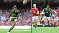 South African rugby fans sceptical of World Rugby’s free RugbyPass TV for Rugby World Cup: "Pigs will fly"