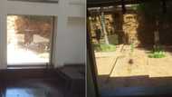 South Africans say the State is under attack after a man was arrested for smashing ConCourt windows with a hammer