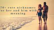 70 cute nicknames for her and him to spice the relationship