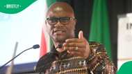 South Africans react to SAPS sending team to Paris after Ambassador Nathi Mthethwa’s death