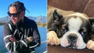 AKA shows off fur son’s Louis Vuitton collar and peeps can’t even believe it’s for a dog