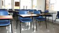 Eastern Cape matrics are finally able to write core subjects in their mother tongue, IsiXhosa and Sesotho