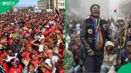 EFF opens criminal case against Ngizwe Mchunu following Inanda clash as party vows to defends itself