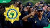 SAPS firearm status check: everything you need to know