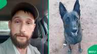 "People don't believe me": Man shows how intelligent his dog is, wows Mzansi