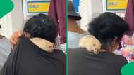 South African woman stuns shoppers by carrying rat on her shoulder in PEP store