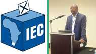 Postponing elections is too expensive according to the IEC