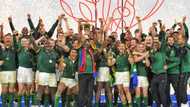 RWC 2023: Cyril Ramaphosa advised to follow the Springboks' footsteps to keep South Africa happy